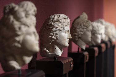 bust 5524961