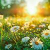 gentle music calms the nervous